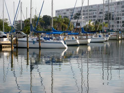 Parking near slips - Pasadena Marina St Petersburg Florida